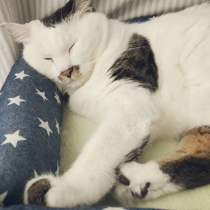 D6712002 d7e5 4e35 aa38 31728f96fe19 1534318432217