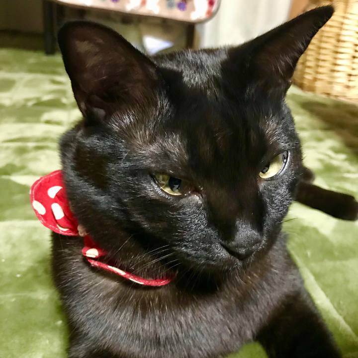 D6715490 f2a1 43ea 8fb2 1aab07bb3f3e 1513930832486