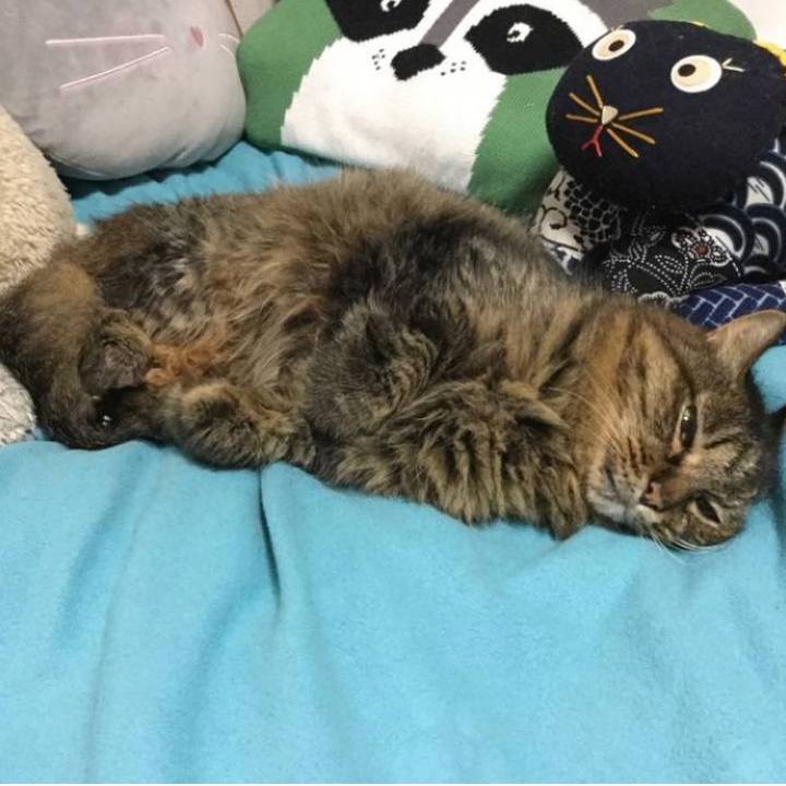 D671989b cbd9 45cf 8f82 9363515498f7 1762468848348