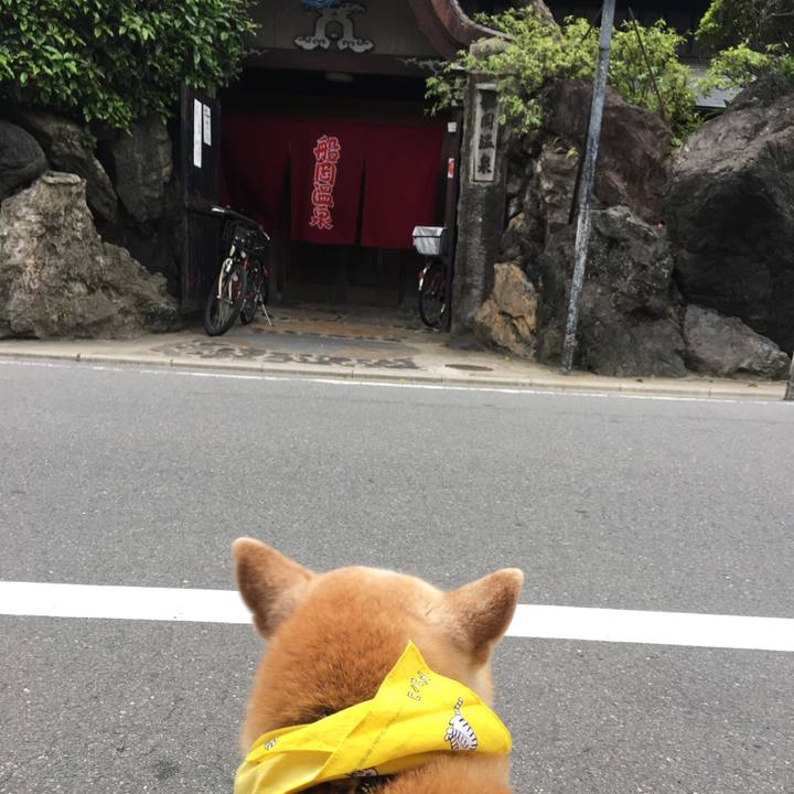 D671e279 f019 4586 b173 e84819f93fc1 1525588347075