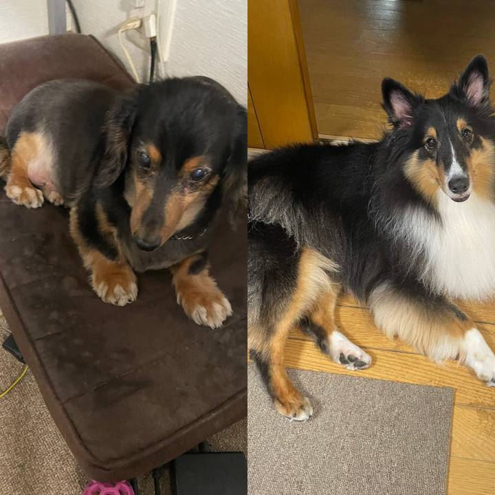 D671f3fc 38d4 4078 99b7 11efc01230fd 1633471045899