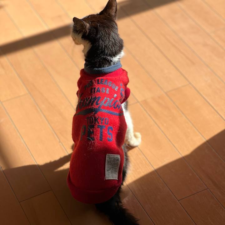 D671fac5 65c3 493f b8bd f433ad62cb09 1677231963154