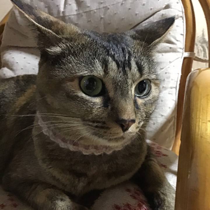 D6720482 2039 4a93 a5fb fd9108cd9a5f 1658835474619