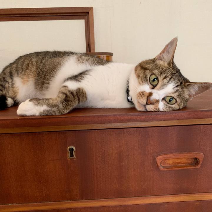 D6720ae8 0eff 4695 8a8b 229555ae925e 1596269132805