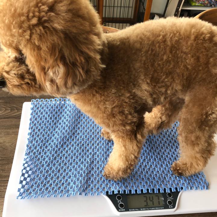 D6720ef8 f02e 4a66 a5df b9b76123f5ce 1588215911224