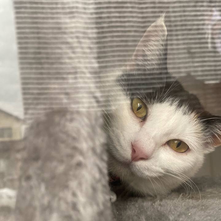 D6721b17 1d99 4d89 8576 b57a076f9645 1651010269406