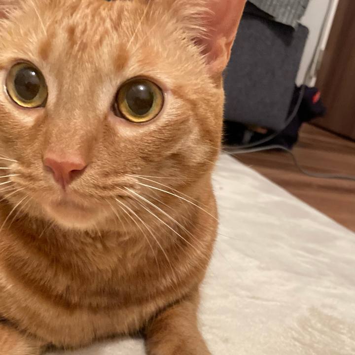 D67243c7 523a 4a8b b05d 8fabedfd6751 1616327630116