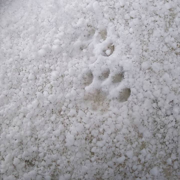 D672728e ac7e 4b99 85a2 15eb900ea43a 1609995230831