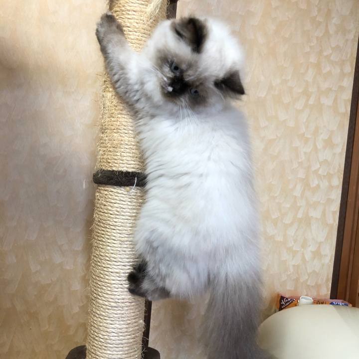 D67275b4 b012 4fc9 8601 de39c20e2b4d 1633835326016