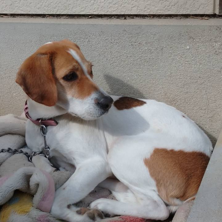 D672a847 06e3 48b5 8c8e 5c1fb2fbfe85 1582084585284