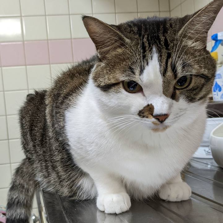 D672bfd7 87cc 4a27 a69f 9efdfa960ec3 1666617995364