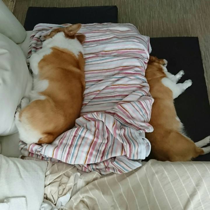 D672e9eb a4a7 4041 bce1 c7518022d656 1555572265412