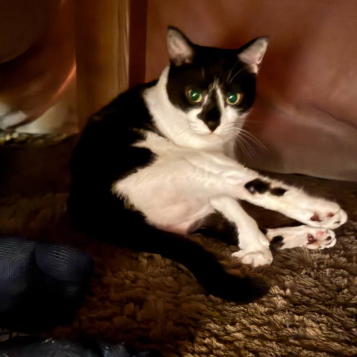 D672f165 8795 48a1 a6b5 93d2844e9c9a 1761481963593