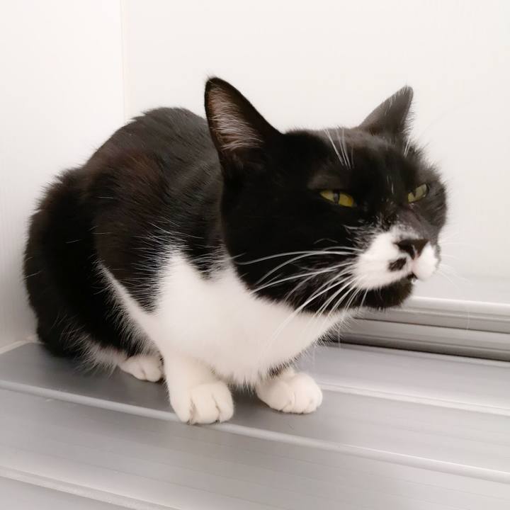 D672ff48 f94f 4ae8 9e91 91aa96dd6a83 1547859349539