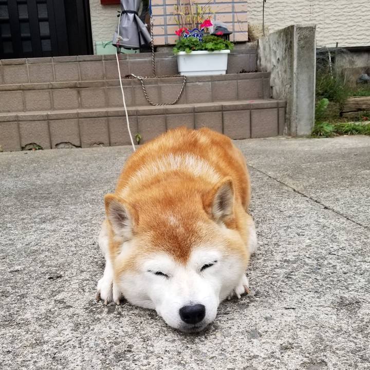 D67300ac b552 408c 884b b26c041b7482 1665526061212