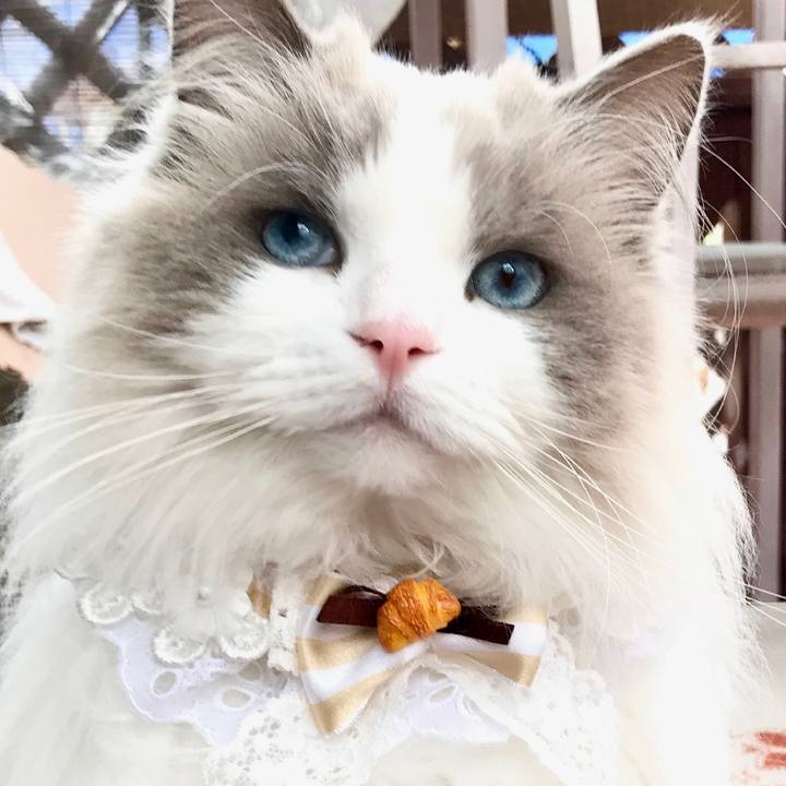 D6731e4d 3c2b 4ad8 beb3 892f7c7d9d2c 1611917455964