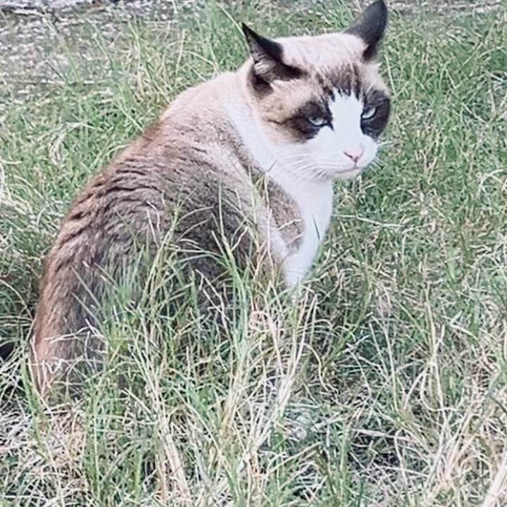 D673290d bd9d 447c b104 9f16356f65f8 1732000702252