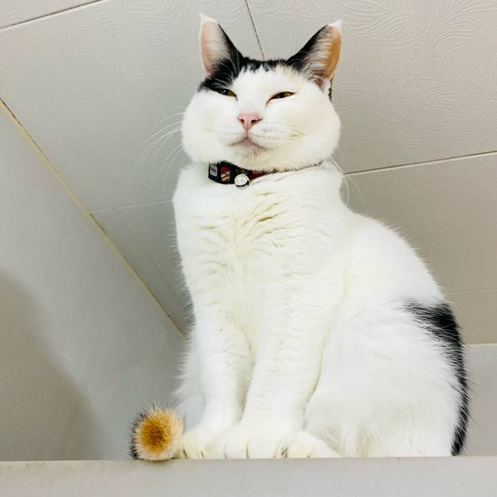 D673301b 856e 4ada 9444 80fe70316f20 1670494074921