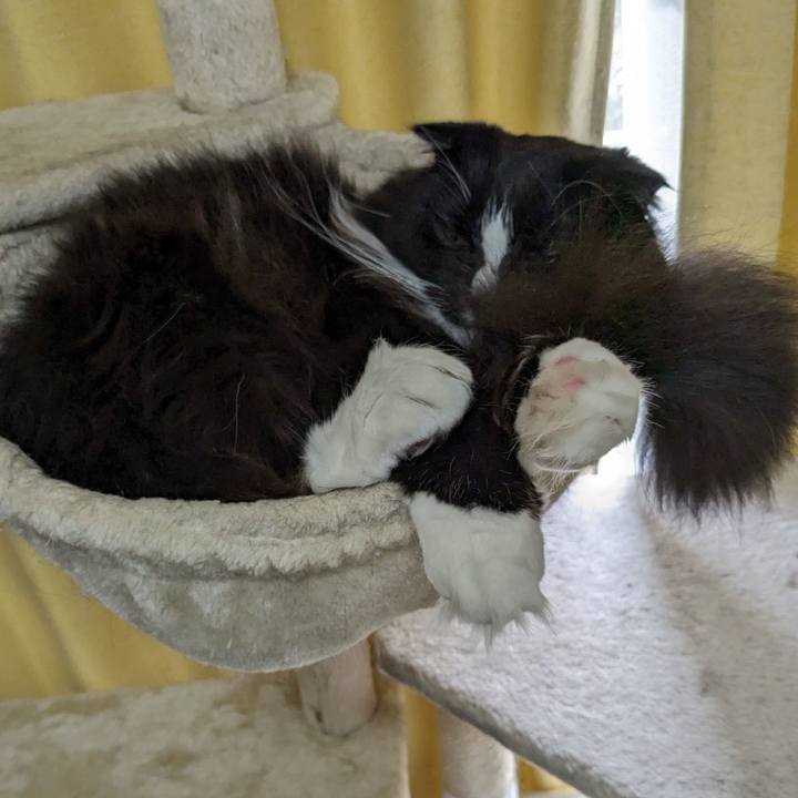 D6733813 c8e0 4325 ad73 4d27c181467a 1714447232004