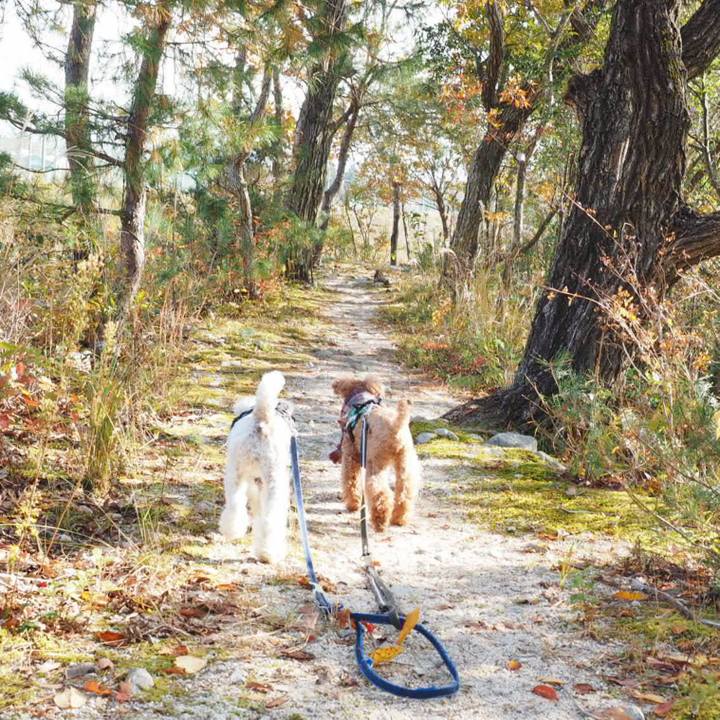 D6739193 09b4 4963 a6cd e29303f70246 1546259605875