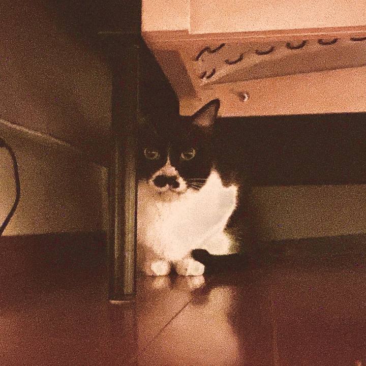 D673e5e1 5e48 4742 b35b 186bdc868400 1656600386427