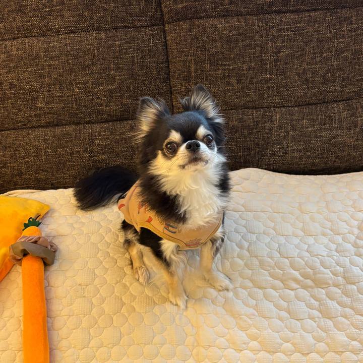 D67418b1 39ad 4c1d a23e 7571efcb73f2 1741450209985