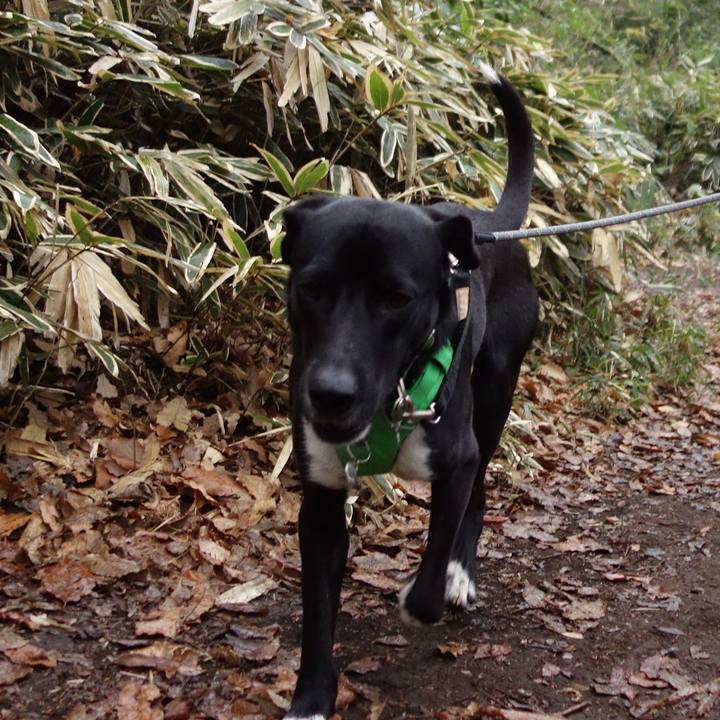 D6745f69 1adc 4658 bb55 357bdae5be72 1581810850263