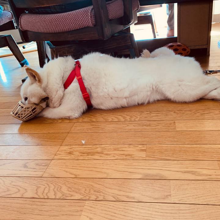 D6747b88 3758 4aa8 9bf2 d934ac4ec6d8 1585620476298