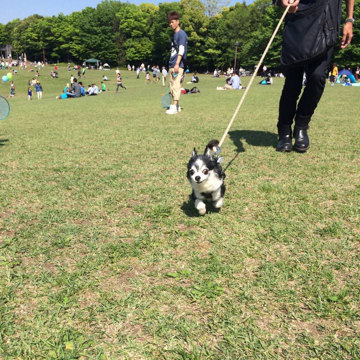 D674d6cb 2f72 46ae 913b 206154194195 1525479620670