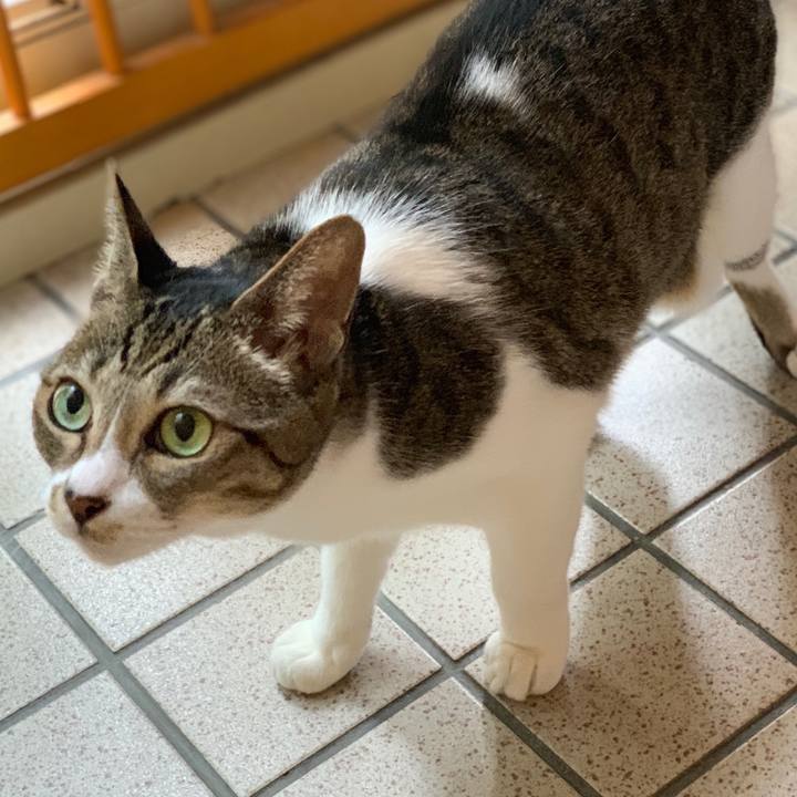 D674dc8e 761d 47fa b568 40e1862a6441 1539823203877