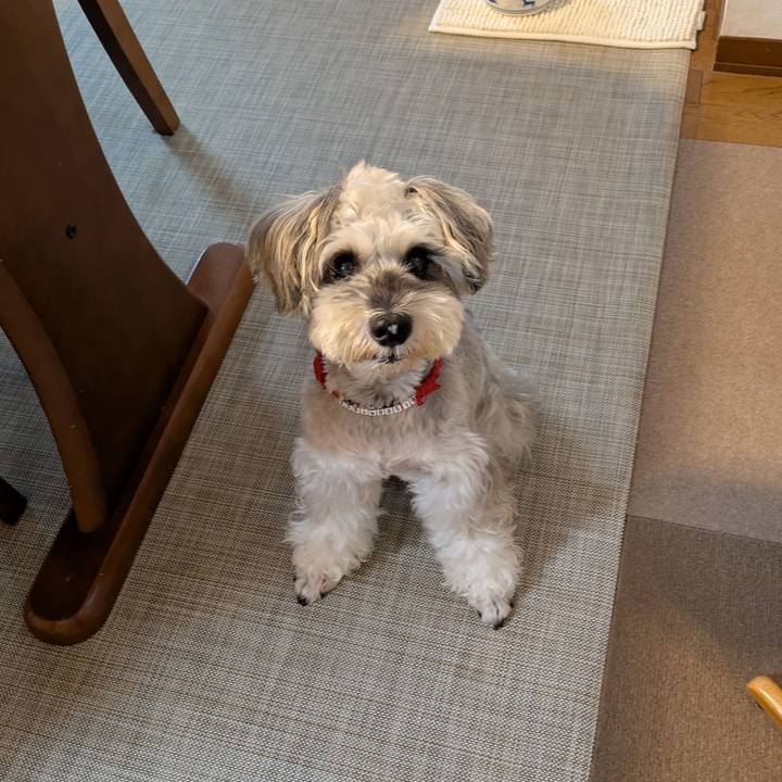 D67512f8 fe82 43fa a9ba 42a7d2e63318 1758244060992