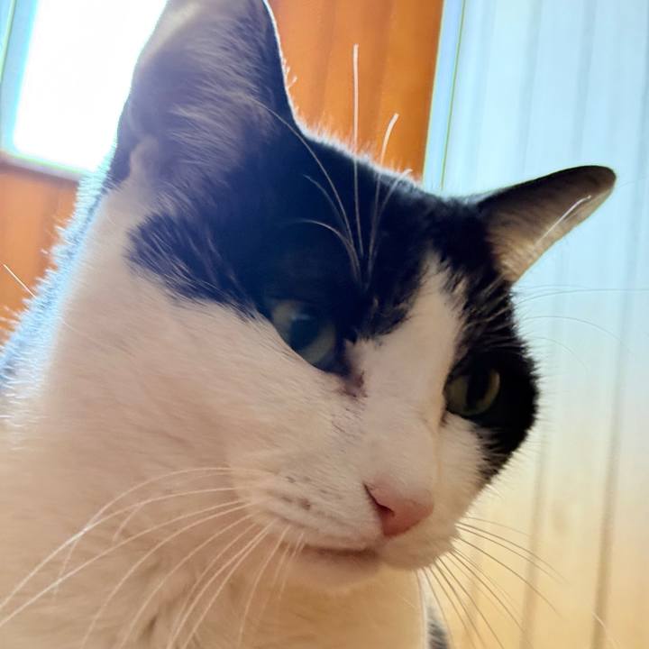 D67514d1 0c17 4814 8a2e 079ed2dd224e 1768612390902