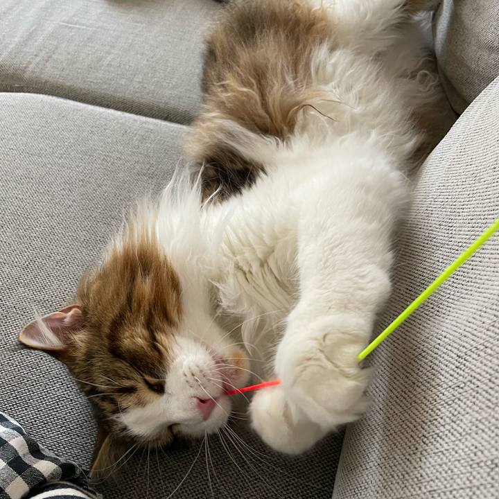 D675228a ef37 4900 8771 6cd5696a916e 1657575021908