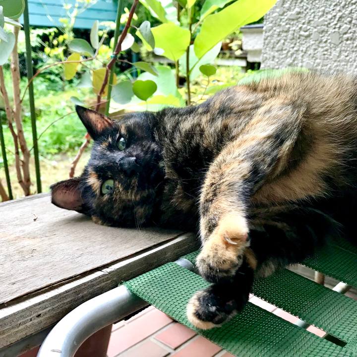 D675291a f50d 4632 a486 d1e92047acf5 1533641008303