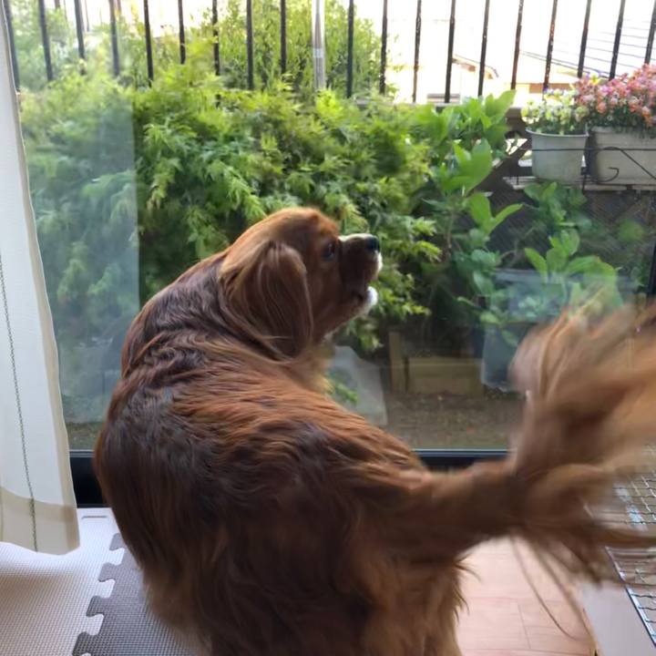 D67546fa 6a68 486a 92f9 9f8c8a473a36 1588084686359