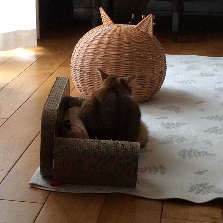 D67549a0 fb9d 4703 adf0 81836e88467a 1580273660145