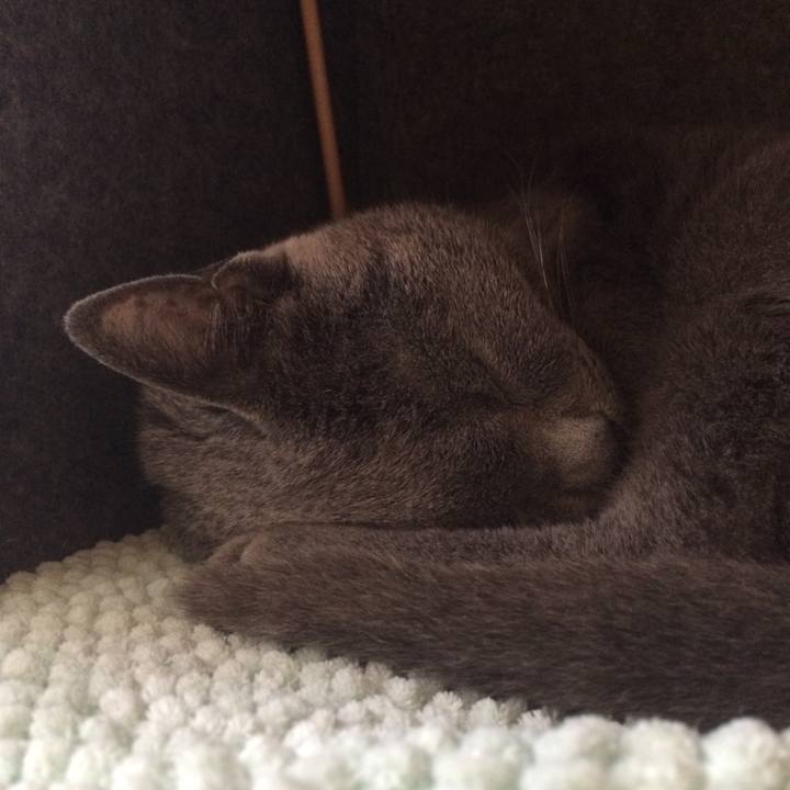 D6759354 5c0f 47a4 b53e 9c936bd9ca78 1548715290931