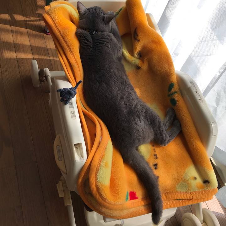 D6759f6c a463 4cb6 9f1b df41f0c613c1 1551410214526