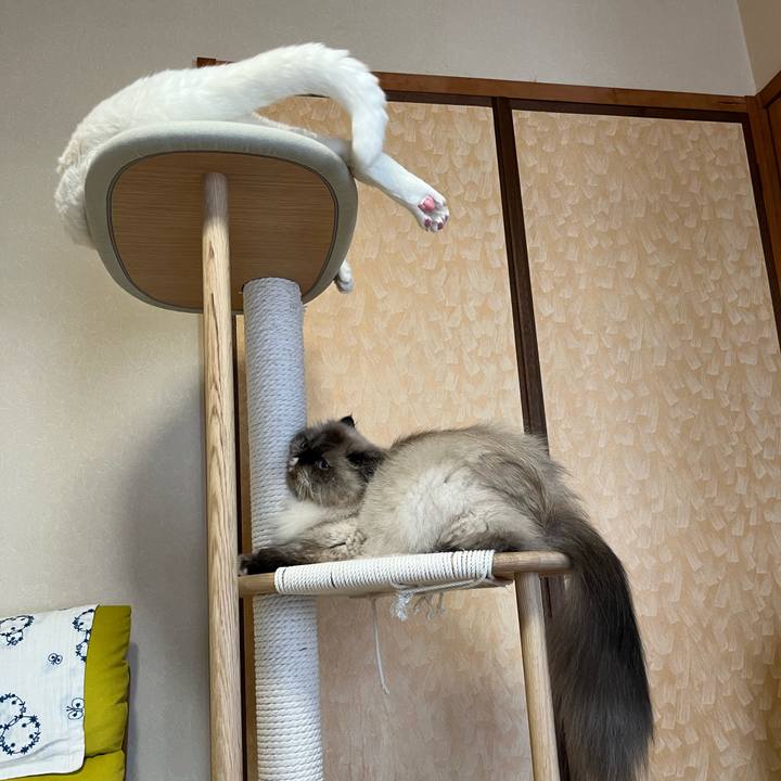 D675a714 391b 48ce 81bc 953cb27076eb 1693915465604