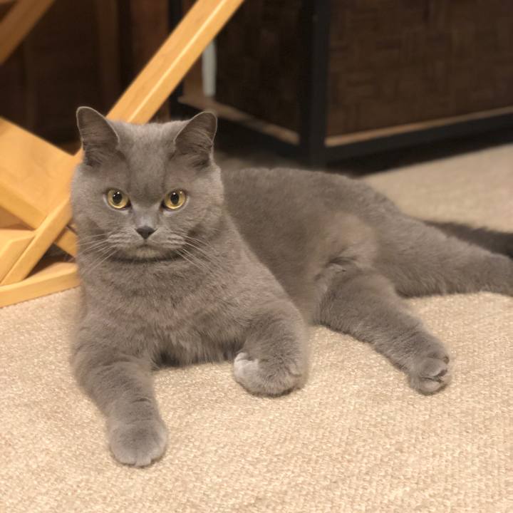 D675c31a 607a 409b 9641 e56495540f60 1622114904786