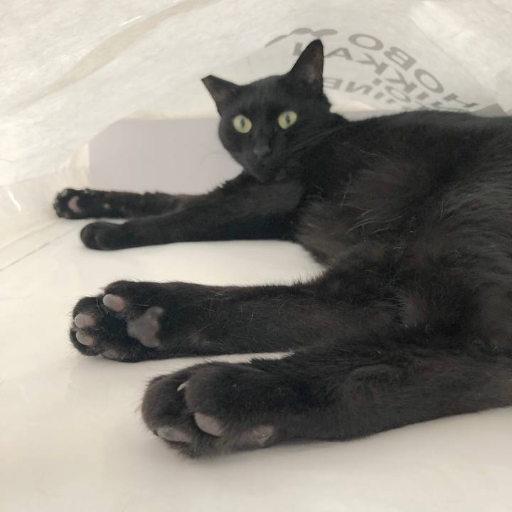 D675c63c 450c 446e b00d dff4ca439632 1552558030047