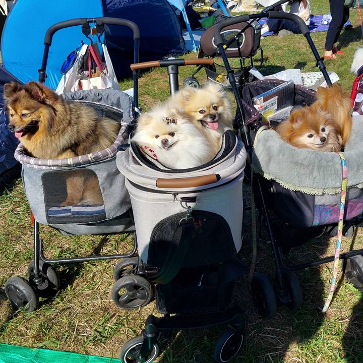 D675cf64 0c90 4946 a01e bb0c1d3b0b7f 1729473427980