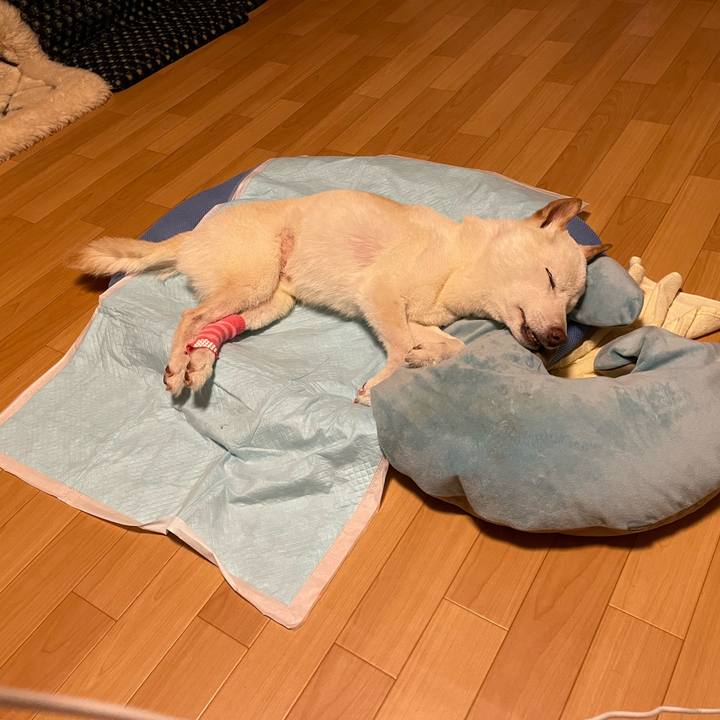 D675d17e 90dd 4928 be12 d5ba1b2f40e4 1662498235595