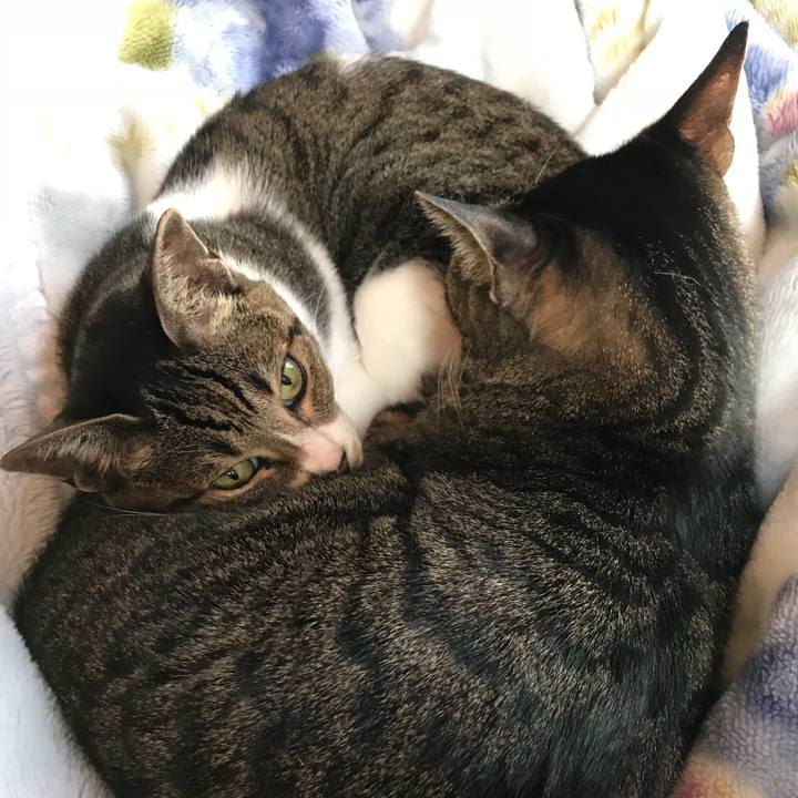 D675d217 29e1 4bc6 a9ab a82f4e9b8166 1512780798425