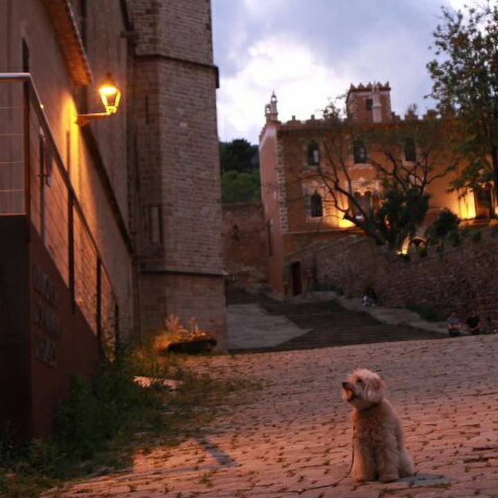 D675e456 4805 4b99 8659 9d4aa945c2d0 1589809829523