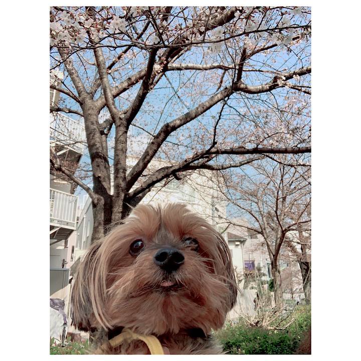 D675f4b1 a67c 4ff8 a3cc 4840ee063d9a 1616130472591