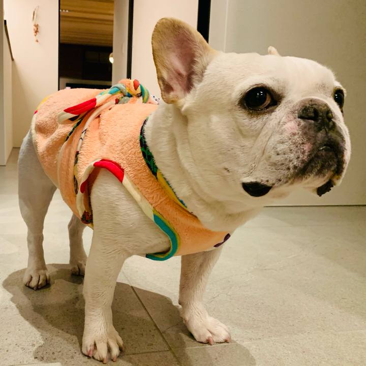 D67620e8 818e 4a95 83a6 ddbd9496701f 1610856398376