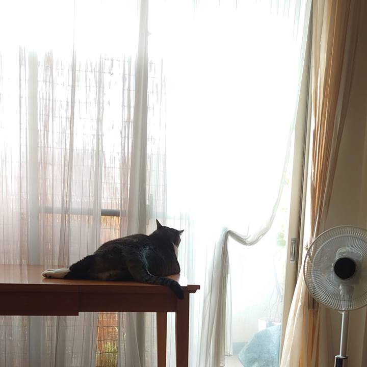 D6764482 64b1 4230 b915 905714abacea 1594597952007