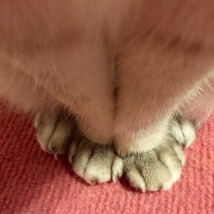 D6769eac a956 4f59 a79b 75e6cc627674 1572641466659