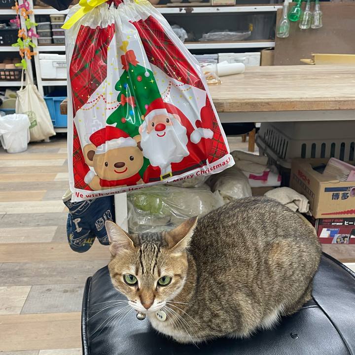 D676a4b7 954a 49d5 a8cf e11794ac59bf 1703475907884